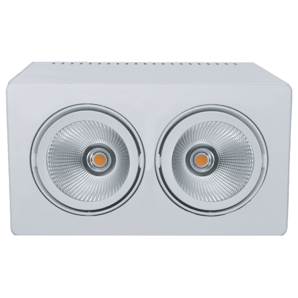 SU4200220 (+) -XXXP40S